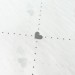 Ранфорс N - №2409 \ 6 Сердечный ритм серый фон белый